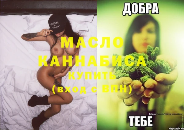 прущие грибы Михайловка