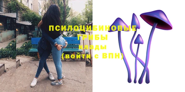 твердый Белоозёрский