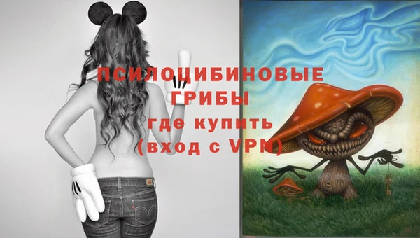 твердый Белоозёрский