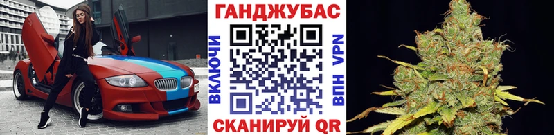 Бошки Шишки семена  Пенза 
